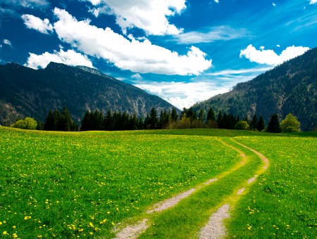 trail to mountain in field
