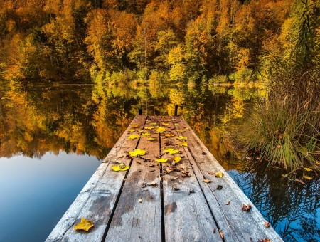 bridge to autumn lake