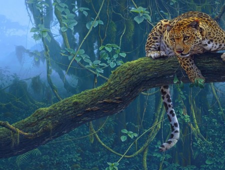 leopard on branch in forest