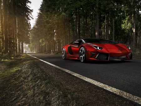 red lambo on the road in forest