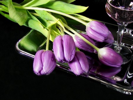 purple tulips with glass