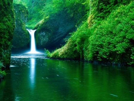 waterfall and lake in green forest