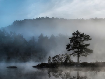fog above lake beside forest