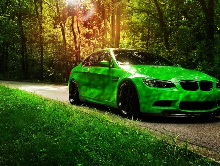 green bmw on forest road