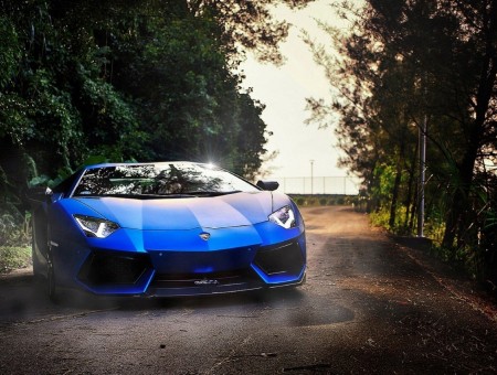 blue lambo on forest road