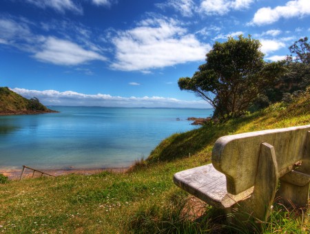 bench on coast of sea