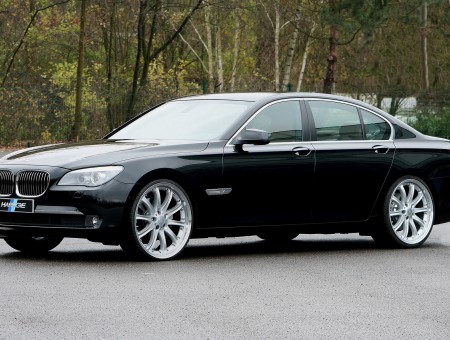 Luxury black BMW