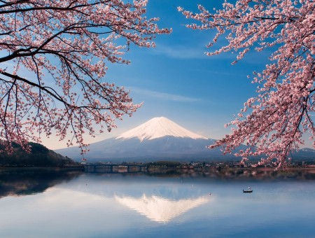 Mountain and pink tree
