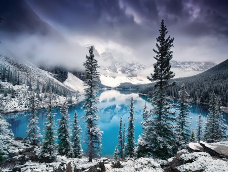 Lake in snow forest