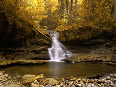 Waterfall in dark forest
