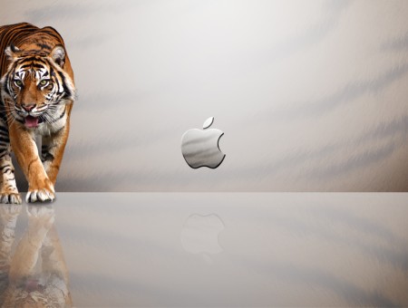 Tiger and Apple