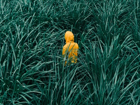 Boy in grass 