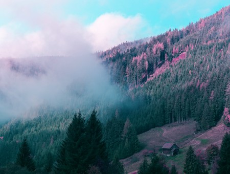 Purple fog in hills