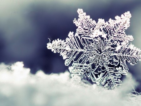 Macro snowflake