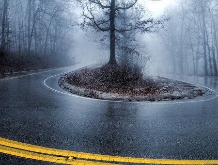 Fog autumn road