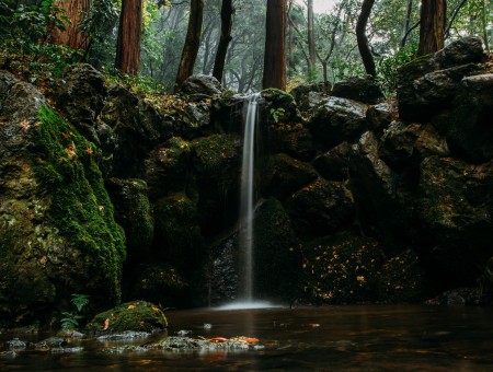 Forest stones waterfall