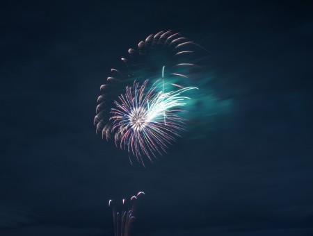 Fireworks in night sky