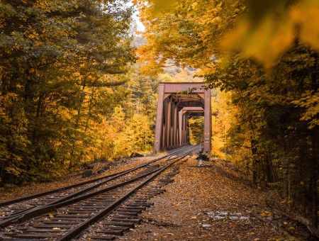 Autumn railway 