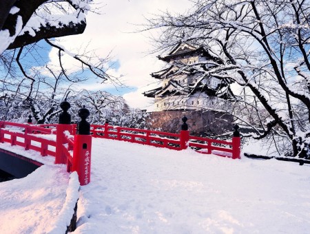 Japanese winter