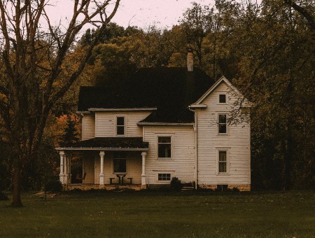 Forest wood house