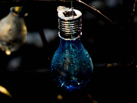 Light bulb in drops