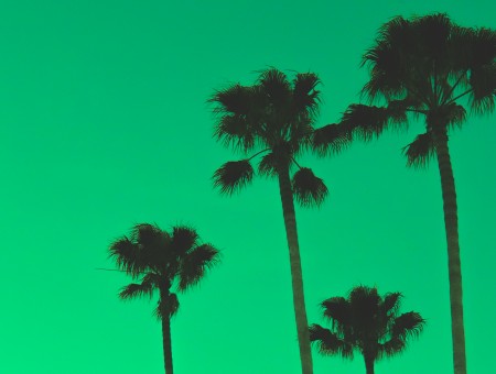 Green palms
