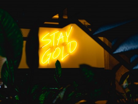 STAY GOLD neon inscription