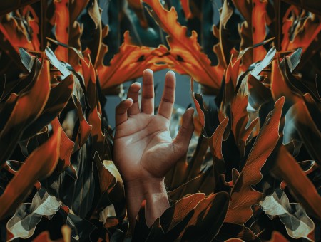 Hand in plant leaves