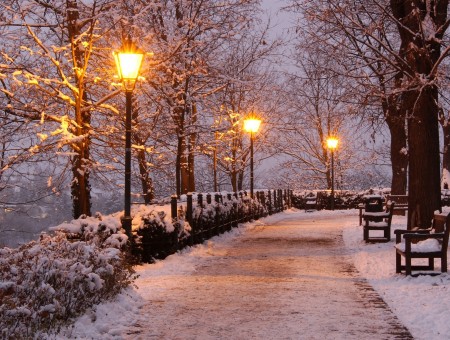 Winter Czech park