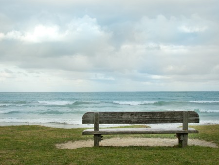 Bench near the water