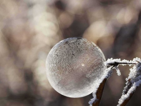 Bubble in the cold